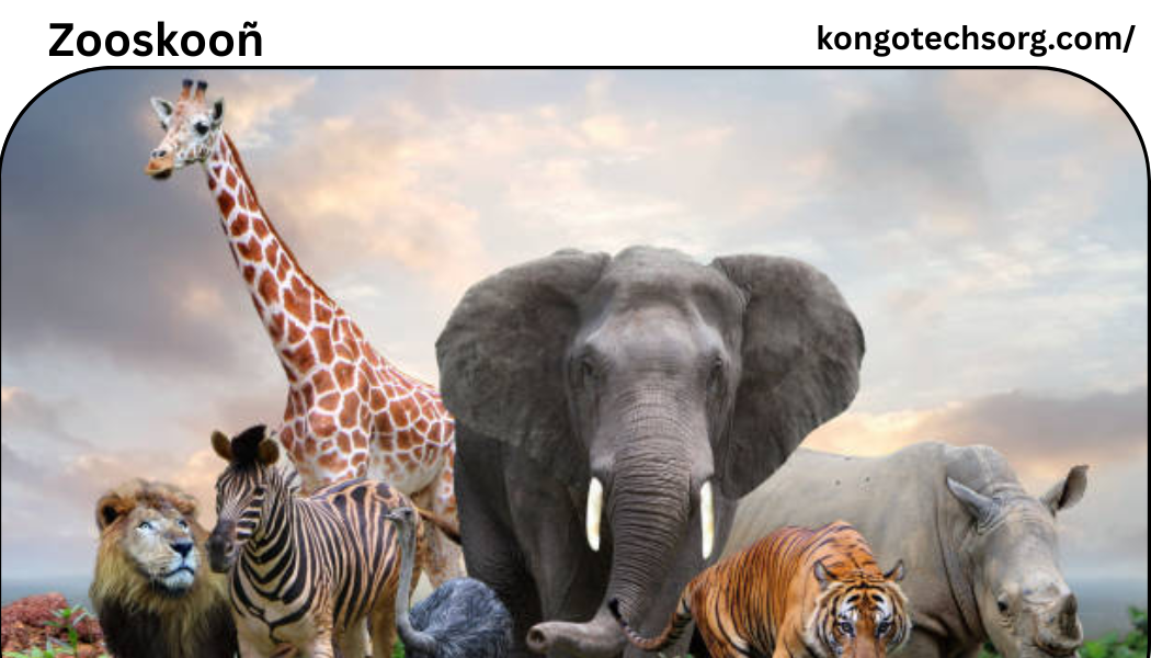 zooskooñ